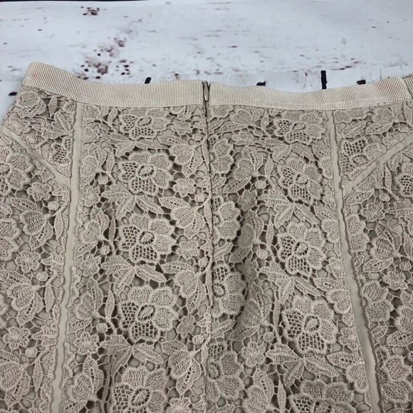 Ann Taylor Tan Lace Skirt - Picture 5 of 7